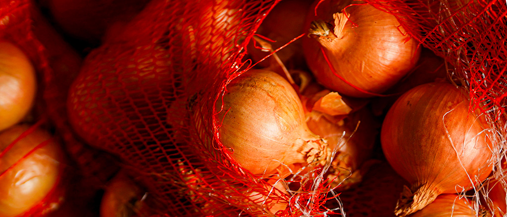 Légumes bio Origine France