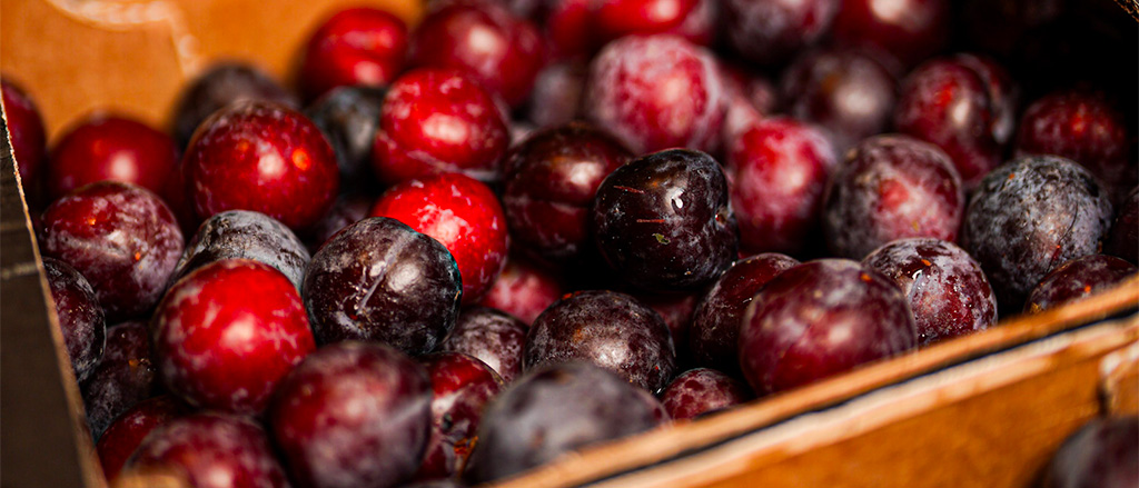 prune bio fruits et légumes rungis