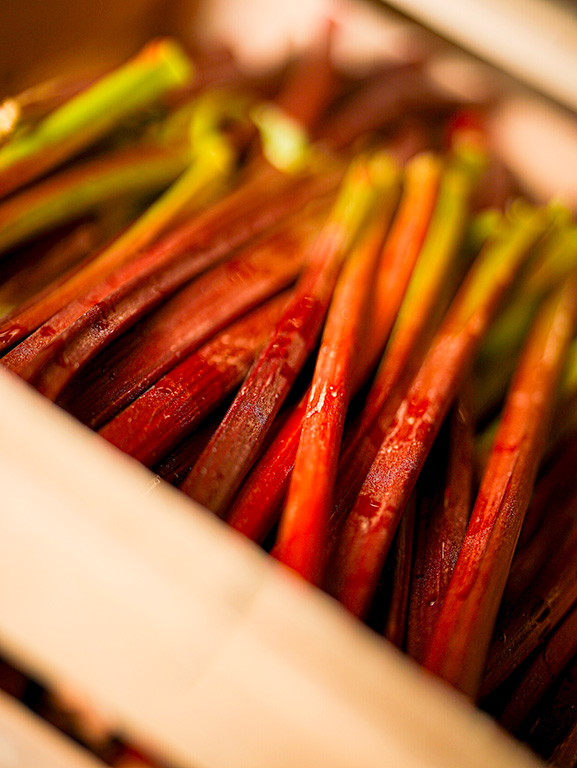 rubarbe bio fruits et légumes rungis