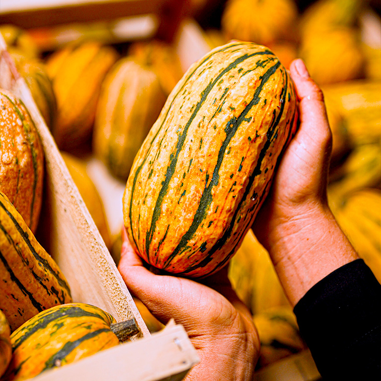 butternut Bio fruits et légumes rungis