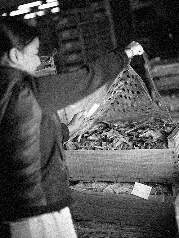 épinards Bio fruits et légumes rungis
