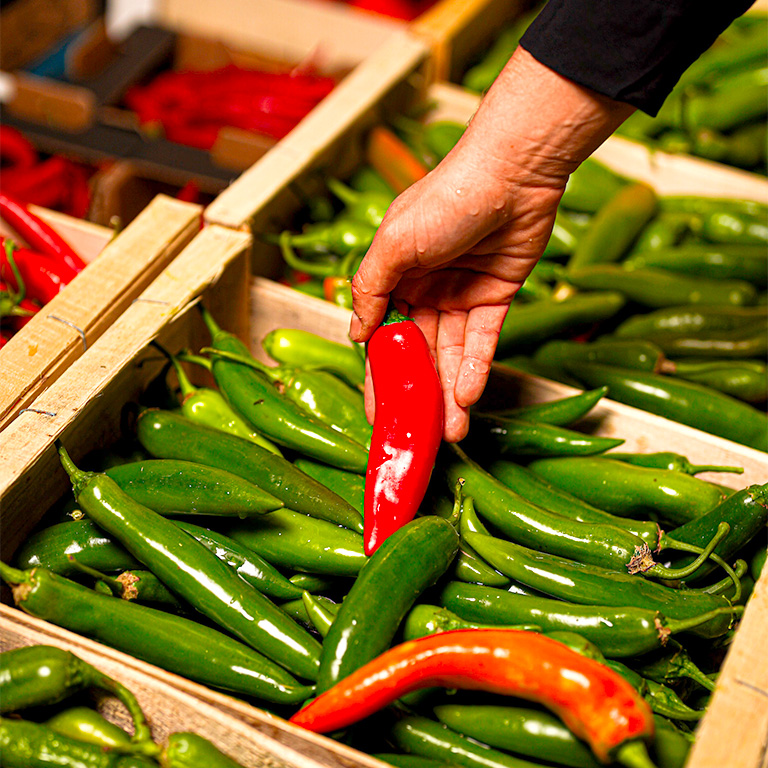 piments bio fruits et légumes rungis